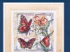 butterfly-00