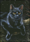 prince_of_darkness_-_anne_marsh