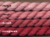 08_red_fruit
