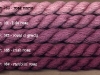 10_musical_roses