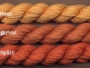 12_orange_fruit