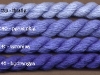 19_the_periwinkle_family