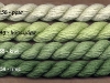 28_green_fruit
