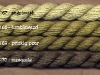 33_desert_greens
