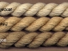 41_yellowish_brown_things