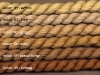 44_yellows_from_the_pantry