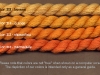 49-yellow-orange-things
