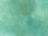 bluespruce