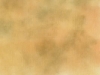 butternut_lg