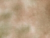 desert_lg