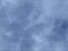 nuthatch_lg