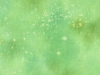 rainforest