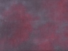 redwing_lg