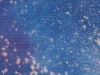 starrynight_lg