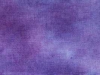 vineyard_lg