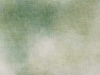 whisperingpine_lg