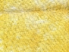 goldentreasureaida