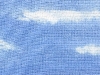 prairieskiesaidahp