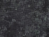 rainforestaida