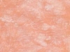coralreefaidasmall
