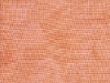 terracottalug