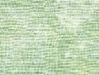 evergreenlin