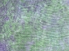 violetsplendorlin