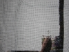 14.2.2011