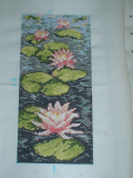 Lidam - Water lilies