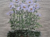 mammillaria - White anemones in bowl