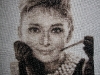 Heřmánek - Audrey