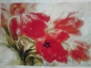 Pink2 - Red tulips