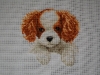 Neffie – King Charles Španěl