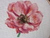 Serinde - Anemone