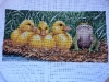 Serinde - Ugly ducking