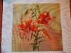 avina - Tiger Lily