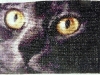 Serinde – Cat’s Eye