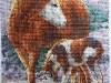 Serinde – Sunlit Horses