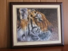 Maciki – Regal Tiger