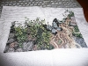 08.jpg