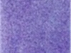 blueberry-freeze-large