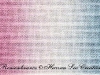 remembrance-vs