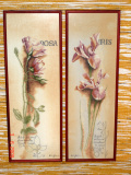 jerrylee - rosa a iris